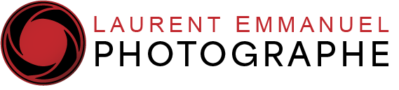 Logo clair